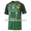 Kamerun Matchtröjor Hemma Fotbollströja 2018 Kamerun Matchtröjor Hemma Fotbollströja 2018